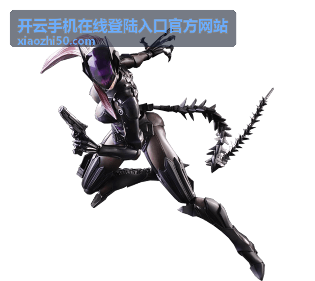 开云手机在线登陆入口官方网站服务功能说明总览