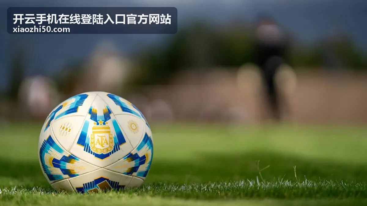 开云手机在线登陆入口官方网站日常访问服务场景
