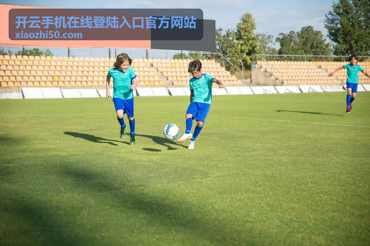 开云手机在线登陆入口官方网站安全操作保护场景